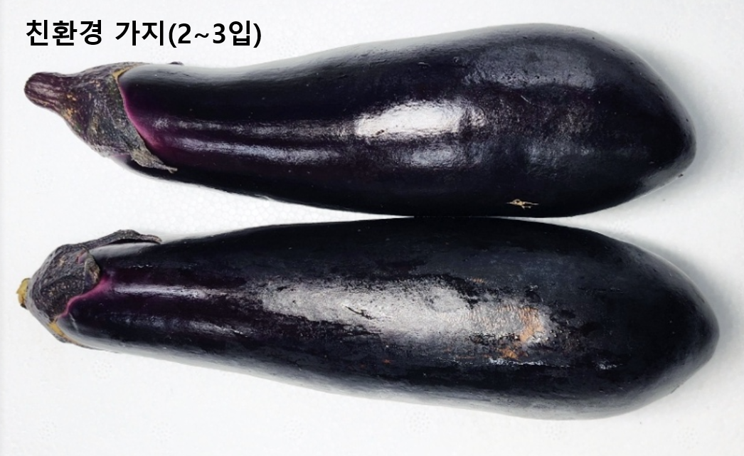 이미지4